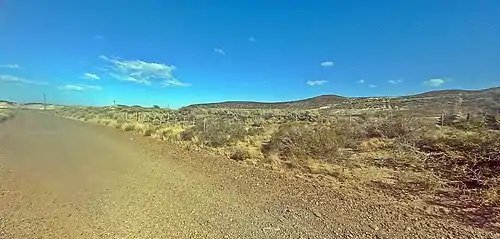 Restos del terraplén poblado de plantas en el ingreso a Astra en zona cercana a donde se emplazó Km 17 y con un camino atravesando la zona.