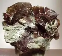 Cristales de axinita (hasta 2.3&nbsp;cm) en lo alto de una matriz de West Bor Pit en Dalnegorsk, Rusia