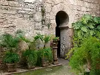 Jardín.