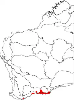 Distribución de B.&nbsp;speciosa (Banksia vistosa), mostrada en un mapa de las regiones biogeográficas de Australia Occidental.