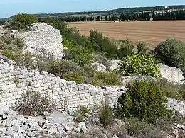 Molino