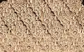 Motivo Sebka con arabescos en la decoración de estuco tallado de la madrasa Ben Youssef