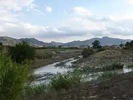 Desembocadura del Guadalentín