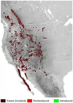 Rango de distribución del Borrego cimarrón.«Ovis canadensis». The IUCN Red List of Threatened Species. IUCN (International Union for Conservation of Nature). 2008. Version 2016-2. Consultado el 20 de noviembre de 2016.&nbsp;National Geophysical Data Center, 1999. Global Land One-kilometer Base Elevation (GLOBE) v.1. Hastings, D. and P.K. Dunbar. National Geophysical Data Center, NOAA. doi:10.7289/V52R3PMS [access date: 2015-03-16].