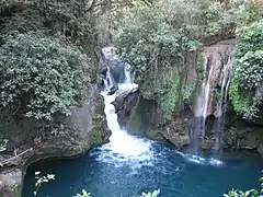Selva seca,Tamasopo, San Luis Potosí