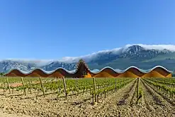Bodegas Ysios, 1998-2001 (Laguardia)