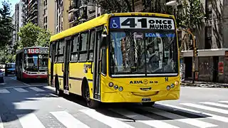 41