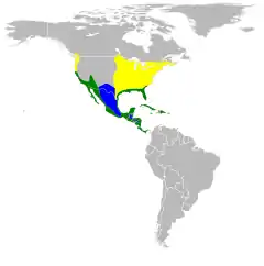 Nidificación Invernada Todo el año