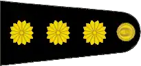 Insignia de coronel del Ejército Argentino.