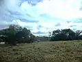 Hacienda.