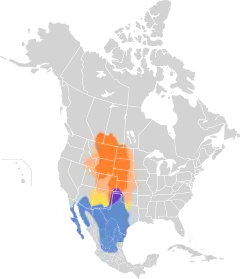 Área de nidificación Área de nidificación (poco común) Presente todo el año En vuelo migratorio Área de invernada