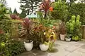 Plantas del "Croquet Lawn", en frente de la casa principal