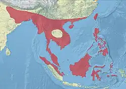 &nbsp;&nbsp;&nbsp;&nbsp;&nbsp;distribución