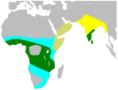 Solo en verano De paso Residente