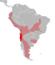 Distribución geográfica de Leopardus colocolo. En rojo la zona de distribución de la que podría ser especie endémica de Chile. Más claro, la distribución de la especie tomada en sentido amplio, según IUCN«Lucherini, M., Eizirik, E., de Oliveira, T., Pereira, J. & Williams, R.S.R. 2016. Leopardus colocolo. The IUCN Red List of Threatened Species 2016».