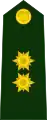 General de brigada del Ejército.