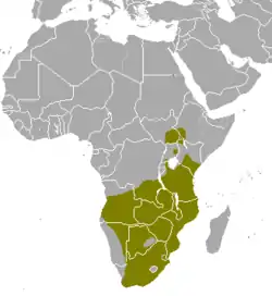 Distribución del eland común