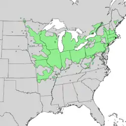 Distribución natural de Cornus racemosa