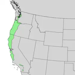 Natural range of subsp. occidentalis