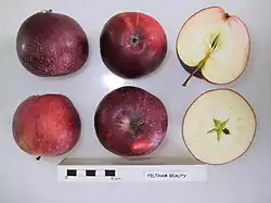 La Manzana 'Feltham Beauty' seccionada.