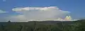 Cumulonimbus capillatus