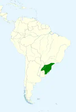 Área aproximada de residencia estable.« Cyanocorax caeruleus species range.» The IUCN Red List of Threatened Species (en inglés). Consultado el 14 de noviembre de 2015.