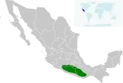 Distribución de Cynanthus sordidus