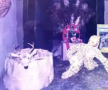 Danza del Calalá.JPG