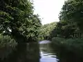 El río Reegge a su paso por Rectum