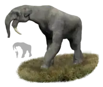 Impresión artística de un Deinotherium.