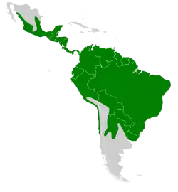 Distribución del vampiro común