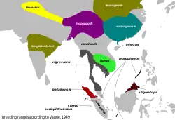 Zonas de reproducción de diversas razas según Vaurie, algunas subespecies no son consideradas válidas en la actualidadVaurie, Charles. (1949). «A revision of the bird family Dicruridae». Bulletin of the AMNH 93 (4): 203-342. hdl:&nbsp;2246/1240.&nbsp;