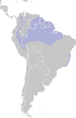 Distribución geográfica del saltarín coroniblanco.