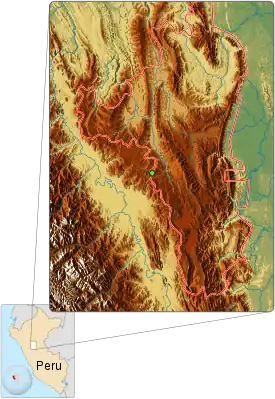 El cuadrilátero ampliado corresponde al lugar donde se encontró el holotipo y las líneas rojas delimitan su hábitat, el Parque Nacional Cordillera Azul.