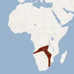 Distribución de H. anchietae