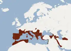 alt= R. e. euryale
R. e. judaicus