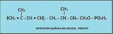 ESTRUCTURA DOLICOL FOSFATO