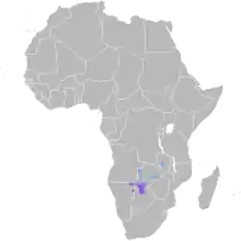 Nidificación Invernada Todo el año