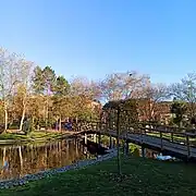 Estanque en otoño