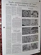 Artículo relacionado en L'Osservatore Romano