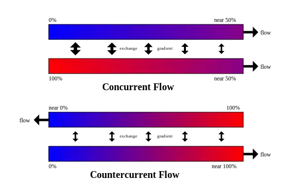 Intercambio en equicorriente y contracorriente.