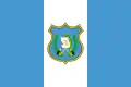 Bandera Estatal de Guatemala (1924).