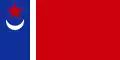 Bandera propuesta por una comisión especial en 1991