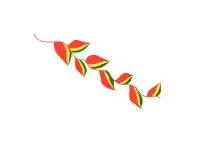 Bandera de la flor de patujú
