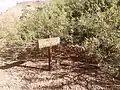 Flora del parque