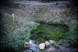 Manantial de Fuente los Moros.