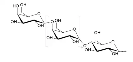 Galactooligosacáridos (GOS)