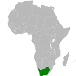 &nbsp;&nbsp;&nbsp;&nbsp;&nbsp;Presente todo el año.