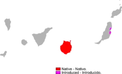 &nbsp;&nbsp;&nbsp;&nbsp;&nbsp;Nativo &nbsp;&nbsp;&nbsp;&nbsp;&nbsp;Introducido