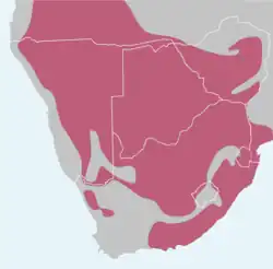 &nbsp;&nbsp;&nbsp;&nbsp;&nbsp;distribución